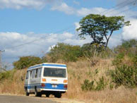 Transport in Mfuwe